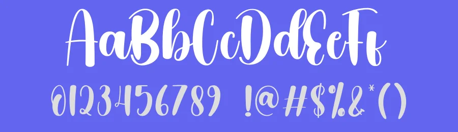 Diligent Script Font by creativeletter — Script Handwritten Font — thumbnail 3