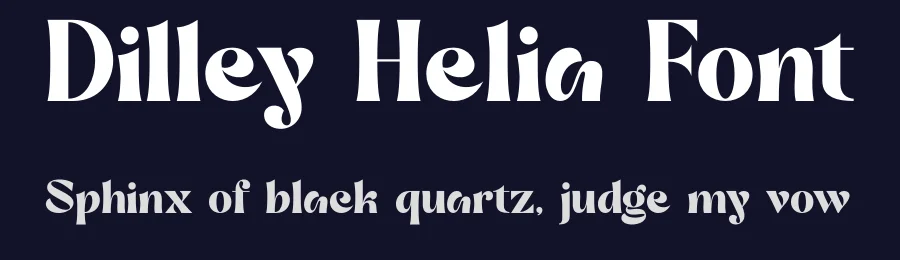 Dilley Helia Font by MaikoHatta — Serif Font — thumbnail 2