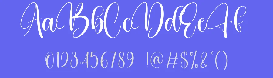 Dingbat Calligraphy Font by creativeletter — Script Handwritten Font — thumbnail 3