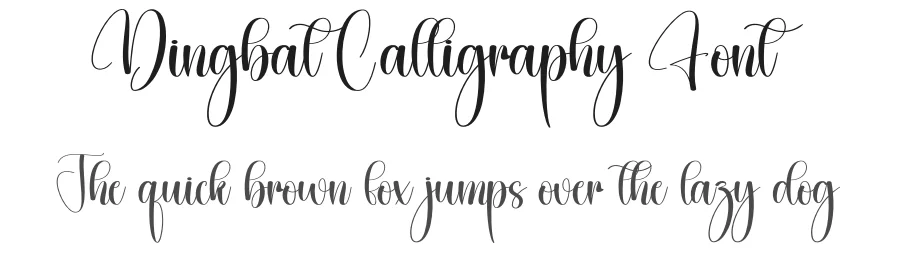 Dingbat Calligraphy Font by creativeletter — Script Handwritten Font
