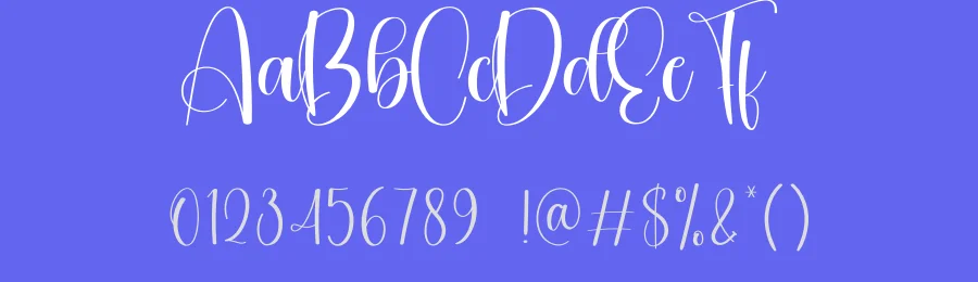Dingbat Script Font by creativeletter — Script Handwritten Font — thumbnail 3