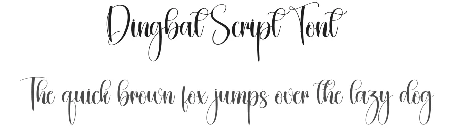 Dingbat Script Font by creativeletter — Script Handwritten Font