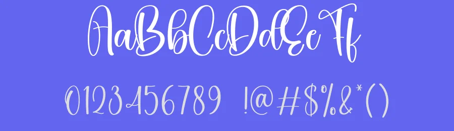 Dingbats Script Font by creativeletter — Script Handwritten Font — thumbnail 3