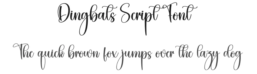 Dingbats Script Font by creativeletter — Script Handwritten Font