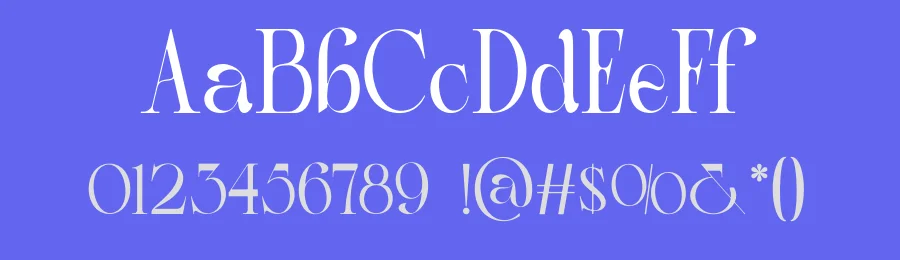 Diolin Font by MaikoHatta — Serif Font — thumbnail 3