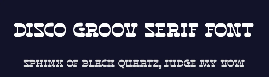 Disco Groov Serif Font by timelesstype.co — Serif Font — thumbnail 2