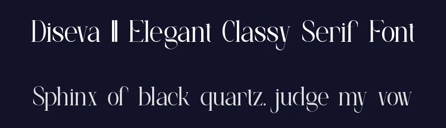Diseva || Elegant Classy Serif Font by ErmediaStudio — Serif Font — thumbnail 2
