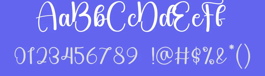 Diskey Calligraphy Font by andikastudio — Script Handwritten Font — thumbnail 3