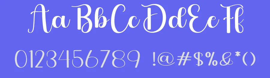 Disney – Modern Handwritten Script Font by freshtypeink — Script Handwritten Font — thumbnail 3