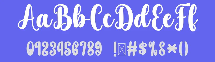 Disney Script Font by DN Creative — Script Handwritten Font — thumbnail 3