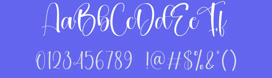 Disneyland Calligraphy Font by creativeletter — Script Handwritten Font — thumbnail 3