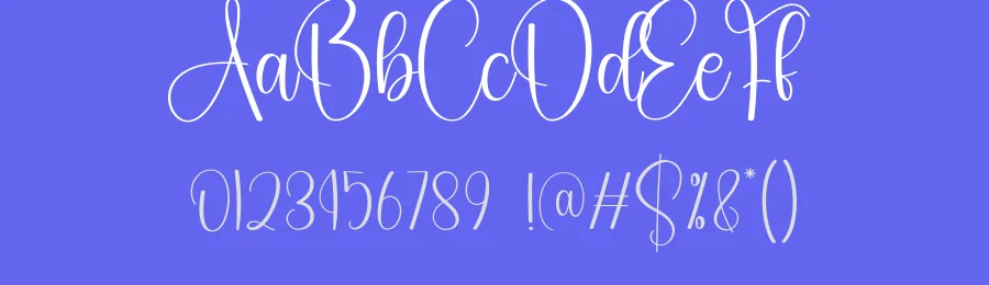 Distance Calligraphy Font by creativeletter — Script Handwritten Font — thumbnail 3
