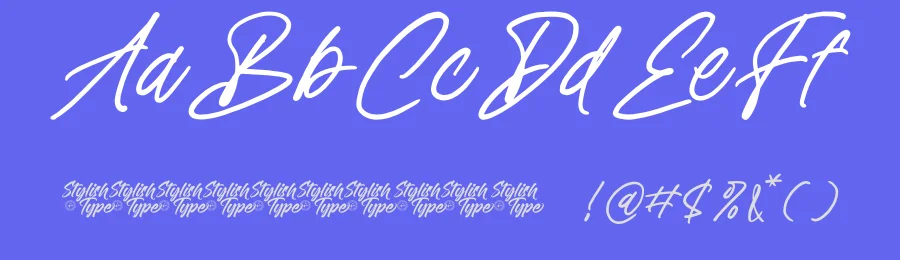 Distyan Stovilky – Handwritten Brush Font by stylishtype.co — Script Handwritten Font — thumbnail 3