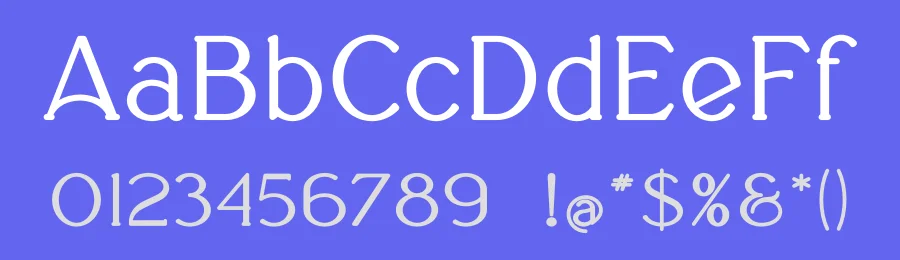Djuna Font by vpcreativeshop — Serif Font — thumbnail 3