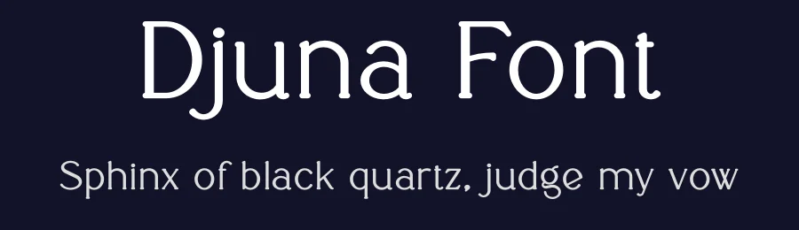 Djuna Font by vpcreativeshop — Serif Font — thumbnail 2