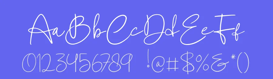 Dmitriev Petroviel Font by Gracetype Studio — Serif Font — thumbnail 3