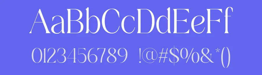 Dobagi Font by roomspace.cl — Serif Font — thumbnail 3