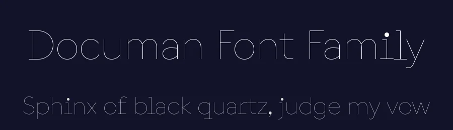 Documan Font Family by Martin Vácha — Display Font — thumbnail 2