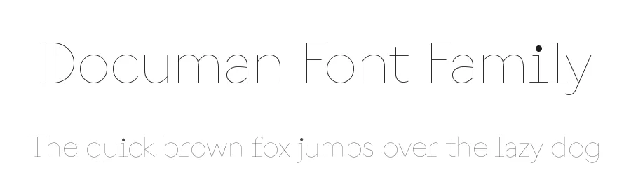 Documan Font Family by Martin VΓ‘cha β Display Font