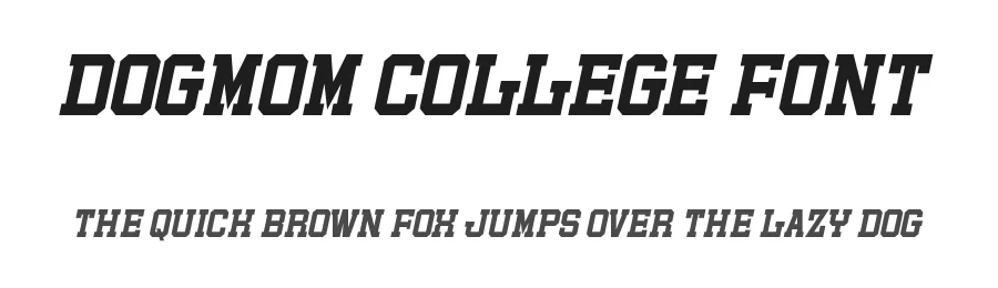 Dogmom College Font by Almairatype — Slab Serif Font