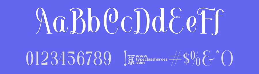 Dolemy Font by TypeClassHeroes — Serif Font — thumbnail 3