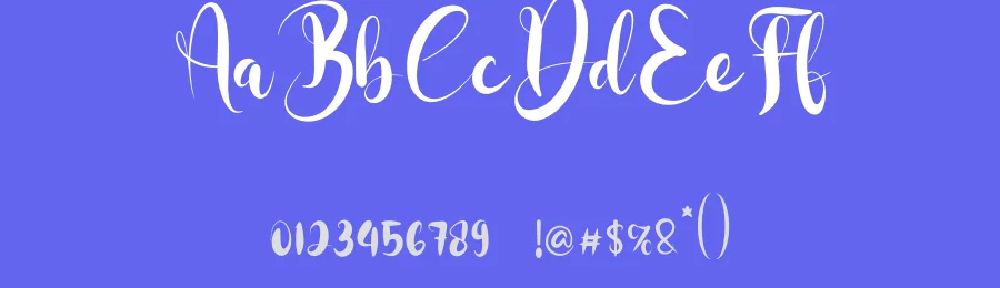 Dollar Font by fahmistudio99 — Script Handwritten Font — thumbnail 3