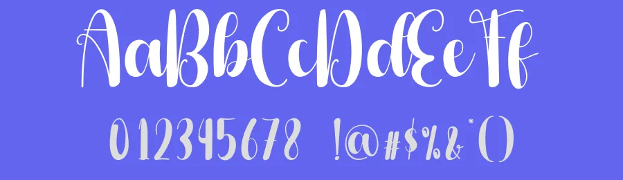 Dolphin Script Font by andikastudio — Script Handwritten Font — thumbnail 3