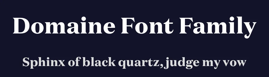 Domaine Font Family by Klim Type Foundry — Serif Font — thumbnail 2