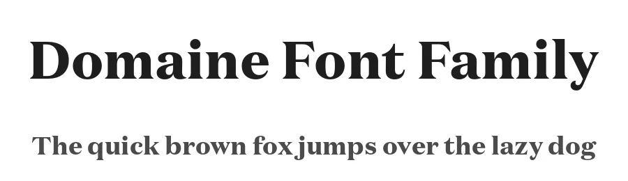 Domaine Font Family by Klim Type Foundry — Serif Font
