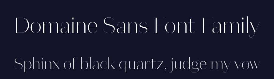 Domaine Sans Font Family by Klim Type Foundry — Sans Serif Font — thumbnail 2