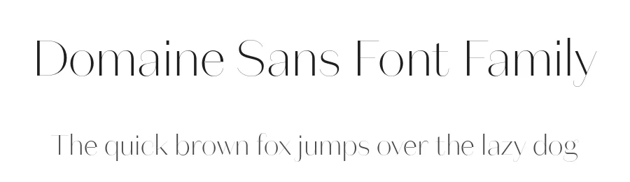 Domaine Sans Font Family by Klim Type Foundry — Sans Serif Font