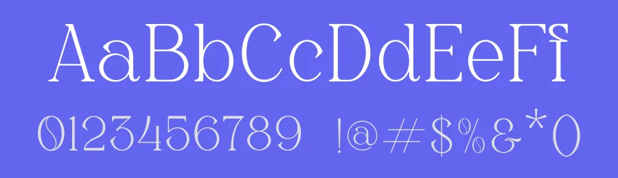 Domeen Font by Artnivora Studio — Serif Font — thumbnail 3