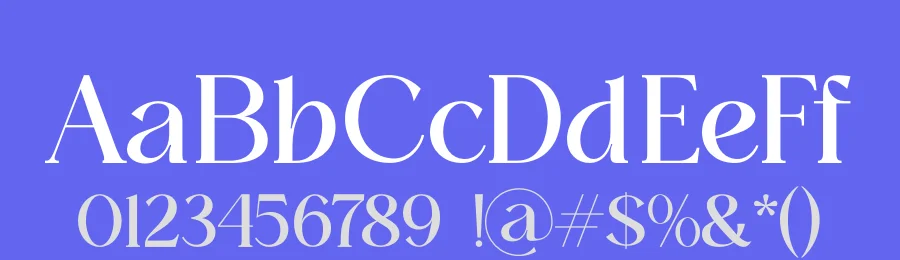 Domilla Font by zaain type — Serif Font — thumbnail 3