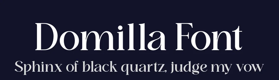 Domilla Font by zaain type — Serif Font — thumbnail 2