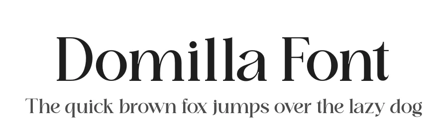 Domilla Font by zaain type — Serif Font