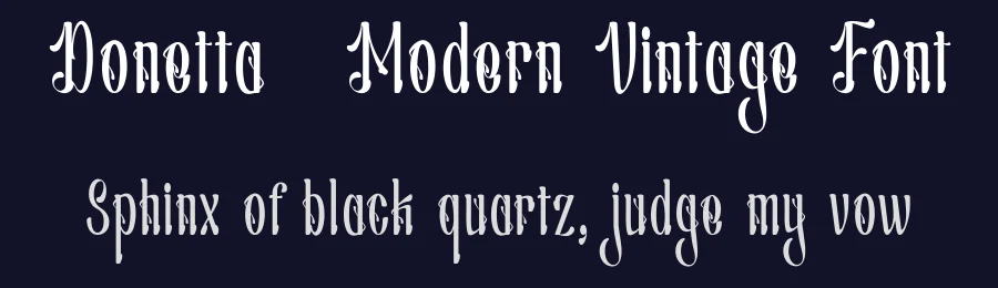 Donetta – Modern Vintage Font by TypeClassHeroes — Script Handwritten Font — thumbnail 2