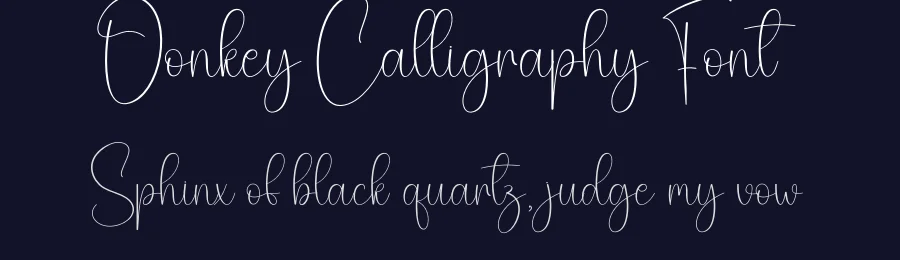 Donkey Calligraphy Font by creativeletter — Script Handwritten Font — thumbnail 2