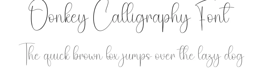 Donkey Calligraphy Font by creativeletter — Script Handwritten Font