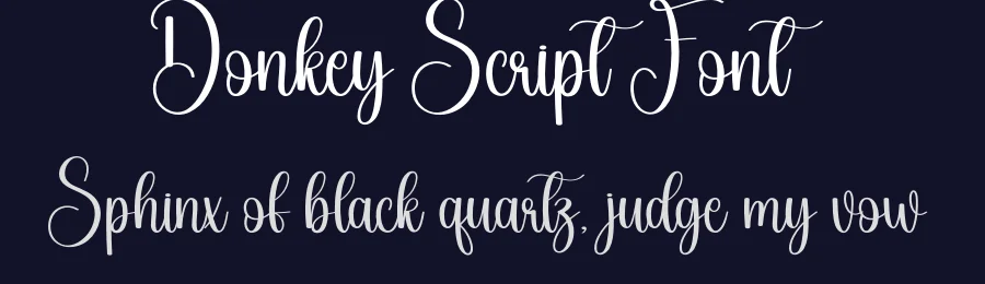 Donkey Script Font by creativeletter — Script Handwritten Font — thumbnail 2