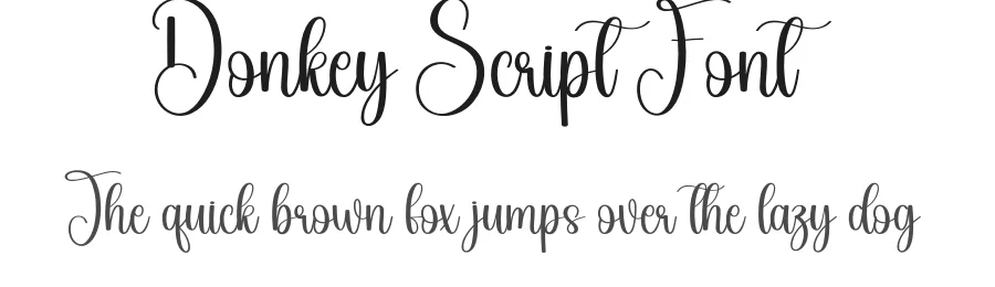Donkey Script Font by creativeletter — Script Handwritten Font