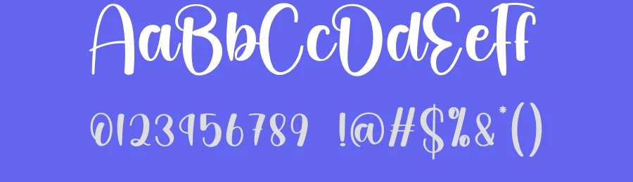 Donkey Script Font by creativeletter — Script Handwritten Font — thumbnail 3