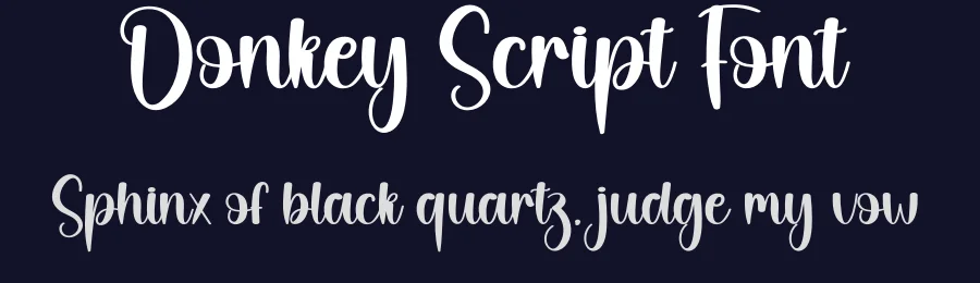 Donkey Script Font by creativeletter — Script Handwritten Font — thumbnail 2