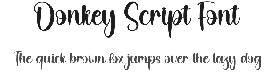 Donkey Script Font by creativeletter — Script Handwritten Font
