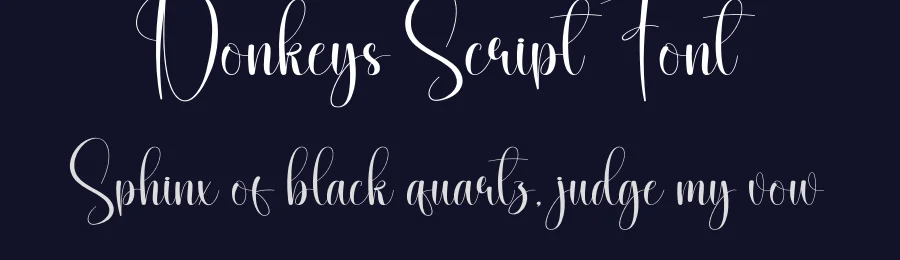 Donkeys Script Font by creativeletter — Script Handwritten Font — thumbnail 2