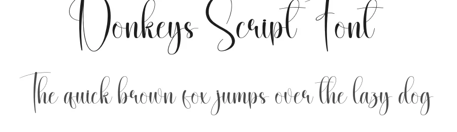 Donkeys Script Font by creativeletter — Script Handwritten Font