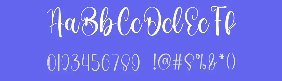 Doodle Script Font by freshtypeink — Script Handwritten Font — thumbnail 3