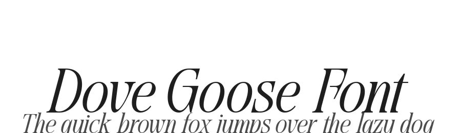 Dove Goose Font by alit design — Serif Font