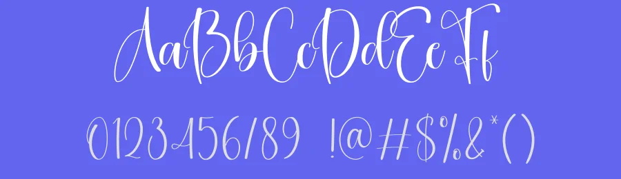 Downstairs Calligraphy Font by creativeletter — Script Handwritten Font — thumbnail 3
