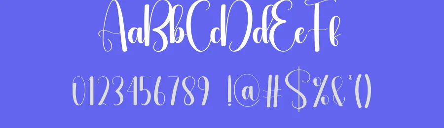 Dried Leaves Display Typeface by andikastudio — Script Handwritten Font — thumbnail 3