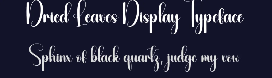 Dried Leaves Display Typeface by andikastudio — Script Handwritten Font — thumbnail 2
